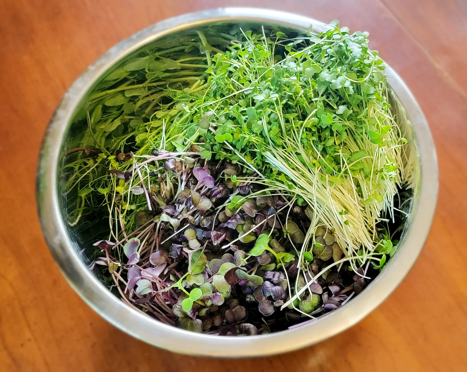 Fresh Ozark Sprouts garden mix